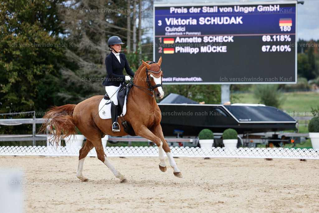 04_1-180-Dressur M__ -StoibPH-StoibPH-2640 | working equitationturnier fotograf videograf stoibphotography marixx film working equitation deutschland reitsport turnierfotografie eventfotografie equestrian events