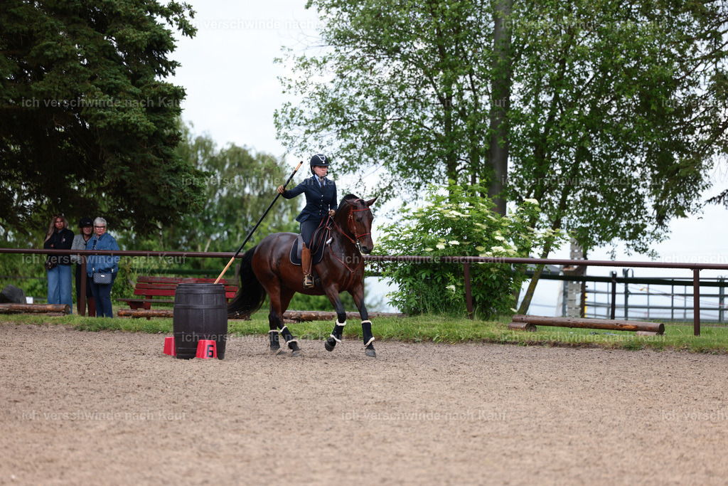 KlasseL_Stoibphotography_CAM23299.JPG | working equitationturnier fotograf videograf stoibphotography marixx film working equitation deutschland reitsport turnierfotografie eventfotografie equestrian events