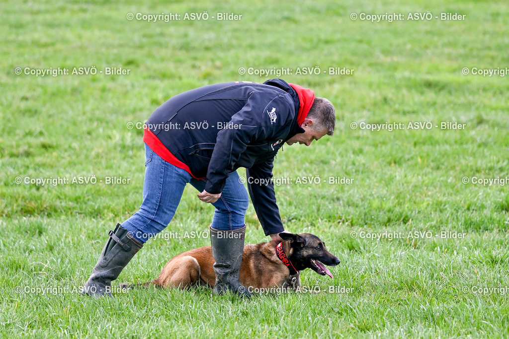ASVÖ_ Tracking Dog World Championship 2025_ 31.03.2025-59 | 31.03.2025, AUT, ASVÖ, Tracking Dog World Championship // FCI IGP Fährtenhundeweltmeisterschaft 2025©fodo.media / Harald Dostal - Realisiert mit Pictrs.com