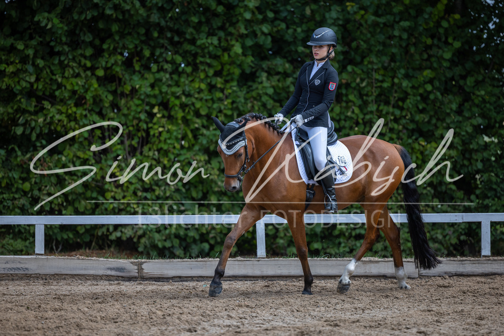 20260905-_3LI8179 | Tierfotografie Pferde, Hunde, Katzen, Haustiere.
Turnierfotografie Reitturniere, Reiten, Springreiten, Dressur in Hanau, dem Main-Kinzig-Kreis und dem Rhein-Main- Gebiet um Frankfurt