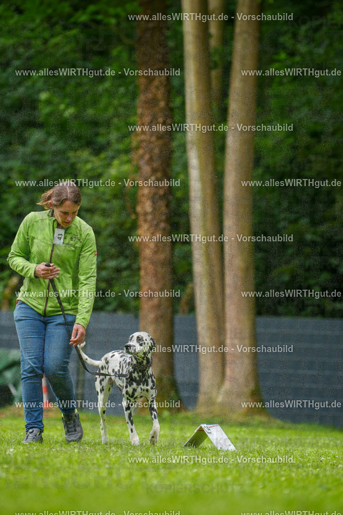 @allesWIRTHgut_Tierfotografie - www.allesWIRTHgut.de - 135232-7R500113 | Professionelle Tierfotografie in Mönchengladbach von Daniel Wirth (allesWIRTHgut). Liebevolle & natürliche Bilder von Hunden & Katzen für unvergessliche Erinnerungen.