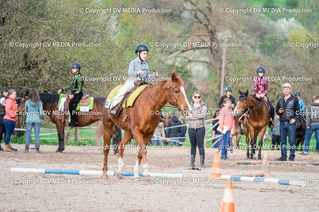 BAL02869 | dv-media-shop - Realisiert mit Pictrs.com