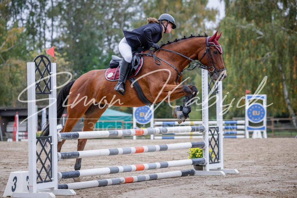 20251012-_3LI3414 | Tierfotografie Pferde, Hunde, Katzen, Haustiere.
Turnierfotografie Reitturniere, Reiten, Springreiten, Dressur in Hanau, dem Main-Kinzig-Kreis und dem Rhein-Main- Gebiet um Frankfurt