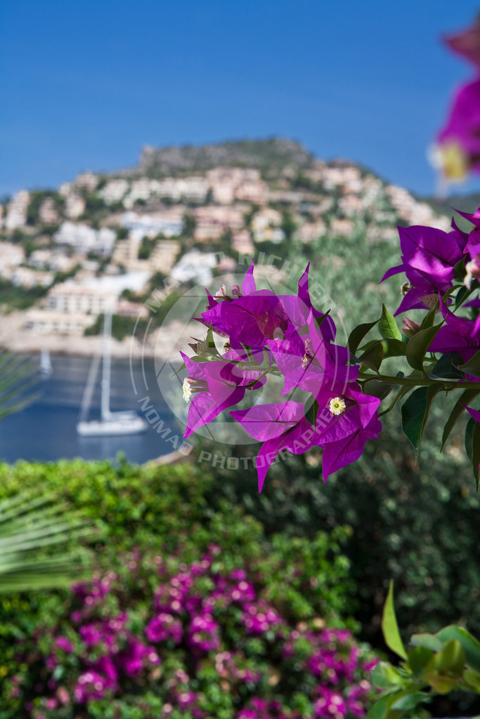 MR-2007-08-14-Puerto de Andratx-0044 | Impressionen Mallorca