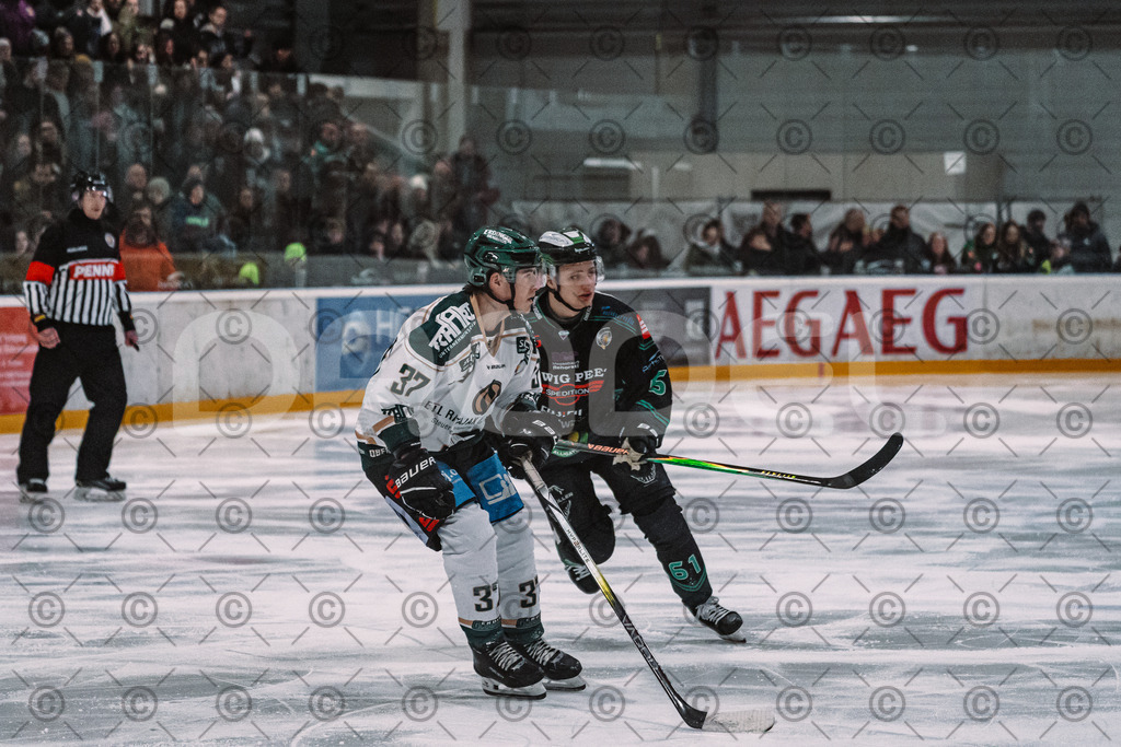 Alligators_vs_Erding_01_02_2026-43 | Höchstadt Alligators Fotogalerie: Eishockey-Action aus Franken. Professionelle Spielfotos, Portraits & Stadionbilder zum Download. Jetzt entdecken! - Realisiert mit Pictrs.com