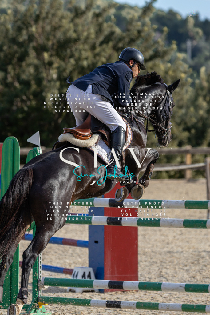 IMG_0584 | s-jay-photography - Realisiert mit Pictrs.com