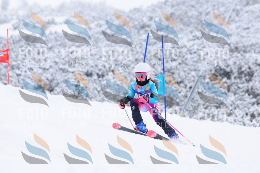 C2692 | holidayphoto