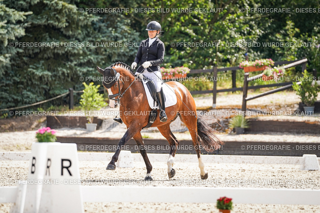 DSC09029 | Pferdegrafie