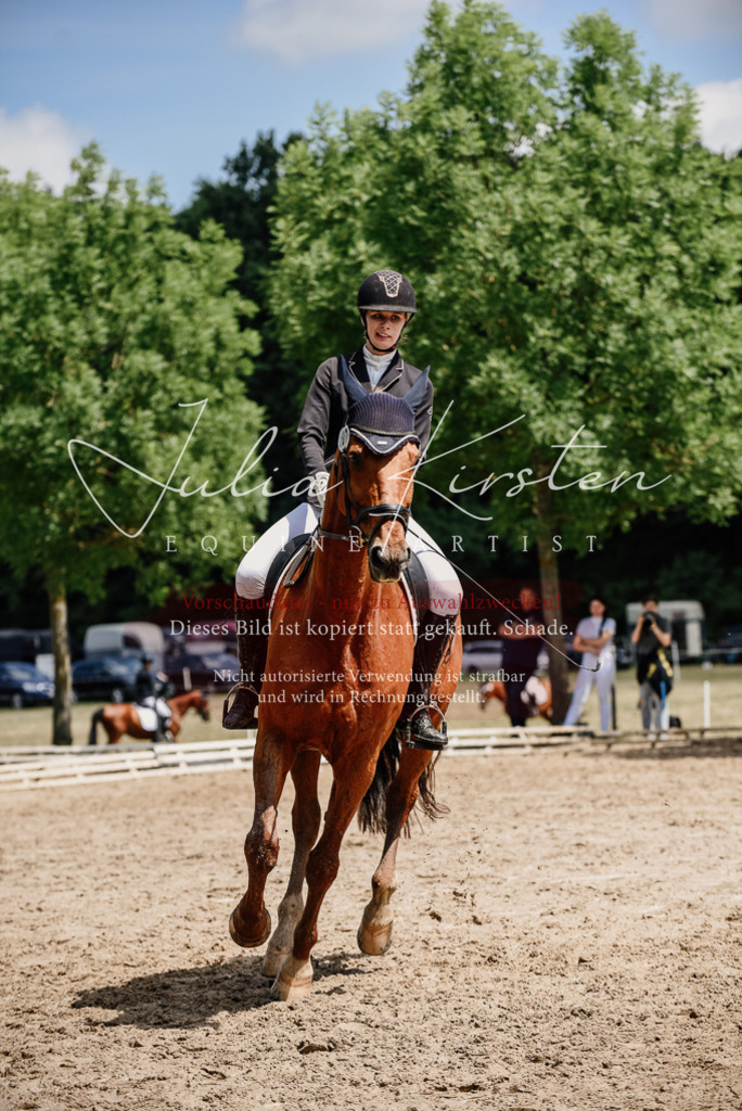 DSC_1570 | Pferde- und Turnierfotografie in Westsachsen. Pferdeportraits, Auftragszeichnungen und intuitive Kunst.