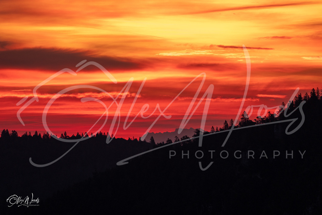 20240922_070116_SA933299_AlexWoods_FullSize | Alex Woods Photography