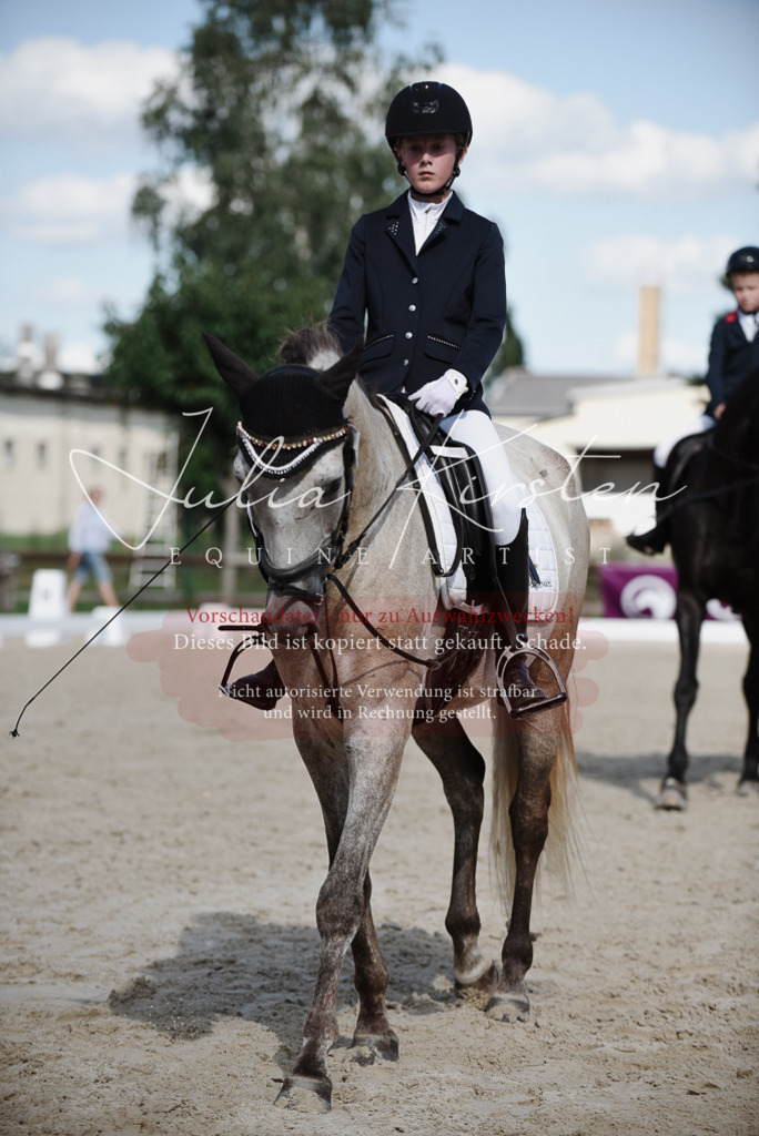 DSC_9982 | Pferde- und Turnierfotografie in Westsachsen. Pferdeportraits, Auftragszeichnungen und intuitive Kunst.