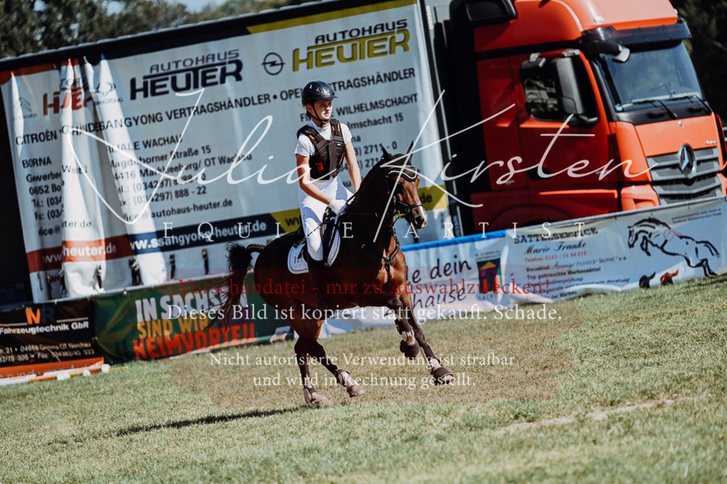DSC_6835 | Pferde- und Turnierfotografie in Westsachsen. Pferdeportraits, Auftragszeichnungen und intuitive Kunst.