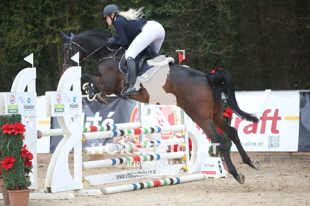 AS8V1764 | Willkommen bei Brunnmayr - Design & Fotografie – Ihrem Spezialisten für Reitturniere und Pferdeveranstaltungen in Oberösterreich, Salzburg und Bayern! Seit über 17 Jahren sind wir leidenschaftlich dabei.