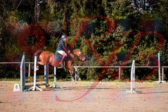 2026_10_03_Siefer-Hof_155400_Z81_73821448 | Professionelle Reitsport-, Turnier- und Eventfotografie von Robert Broda. Galerien mit ausgewählten und bearbeiteten Bildern direkt online ansehen und bestellen.