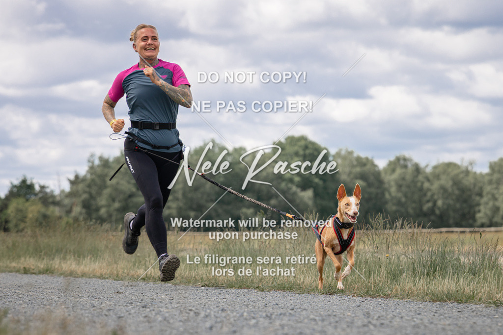 nelerasche_BuHu2026_SaCC1100-1200_176 | nelerasche