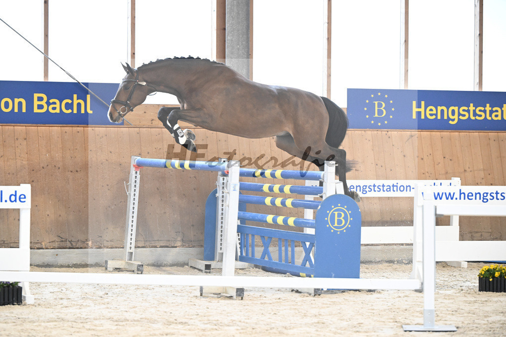 Kat-Nr. 8 nn v. Vigaro_Rau_5251228 | hf-fotografie - Realisiert mit Pictrs.com
