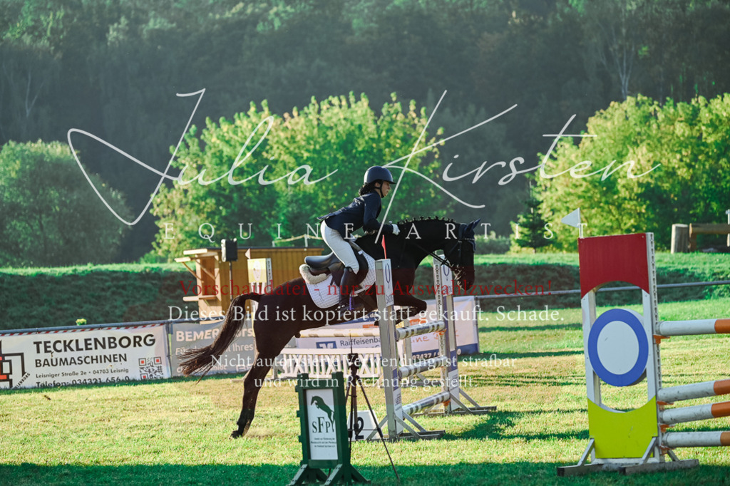 DSC_4069 | Pferde- und Turnierfotografie in Westsachsen. Pferdeportraits, Auftragszeichnungen und intuitive Kunst.