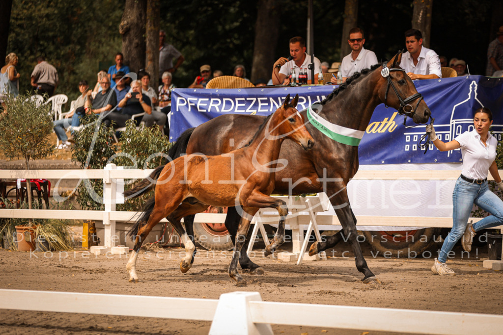 SaPA00011 | Leoni Ertmer Photography - Realisiert mit Pictrs.com