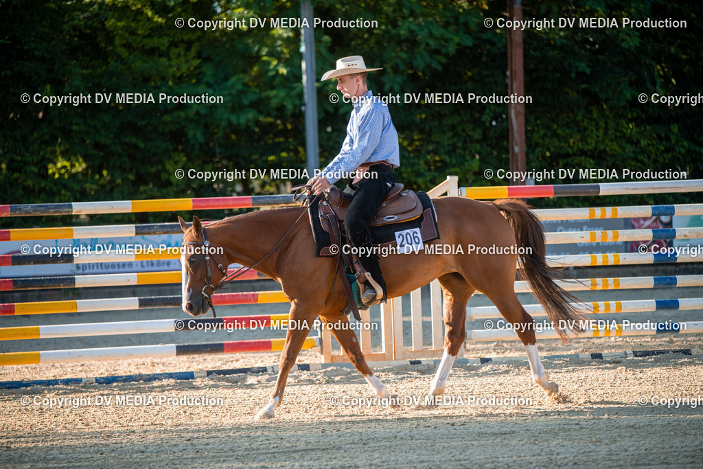 EWP_7163 | dv-media-shop - Realisiert mit Pictrs.com