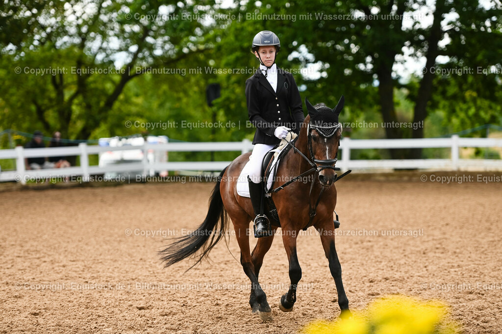 20230716_10-2_Reiter-WB Schritt - Trab - Galopp_0101 | equistock