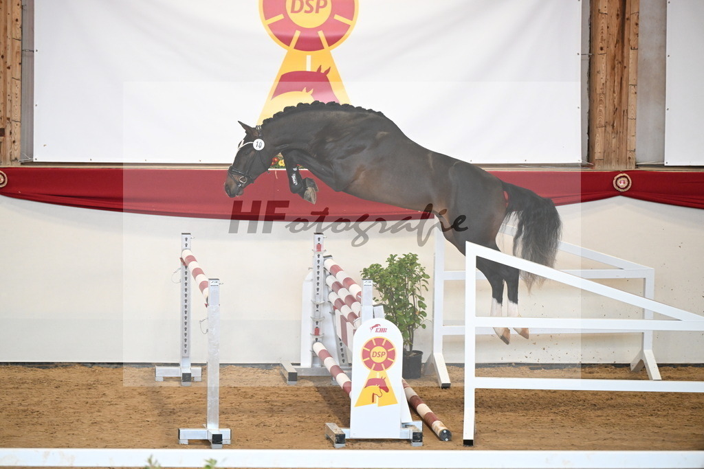 Kat.-Nr. 10 v. Chubakko_Ottmann_2251092 | hf-fotografie - Realisiert mit Pictrs.com