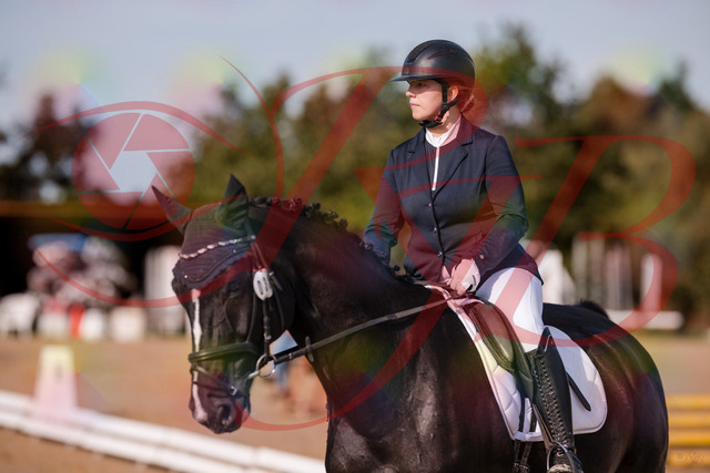 2026_10_03_Siefer-Hof_113424_Z81_79080050 | Professionelle Reitsport-, Turnier- und Eventfotografie von Robert Broda. Galerien mit ausgewählten und bearbeiteten Bildern direkt online ansehen und bestellen.