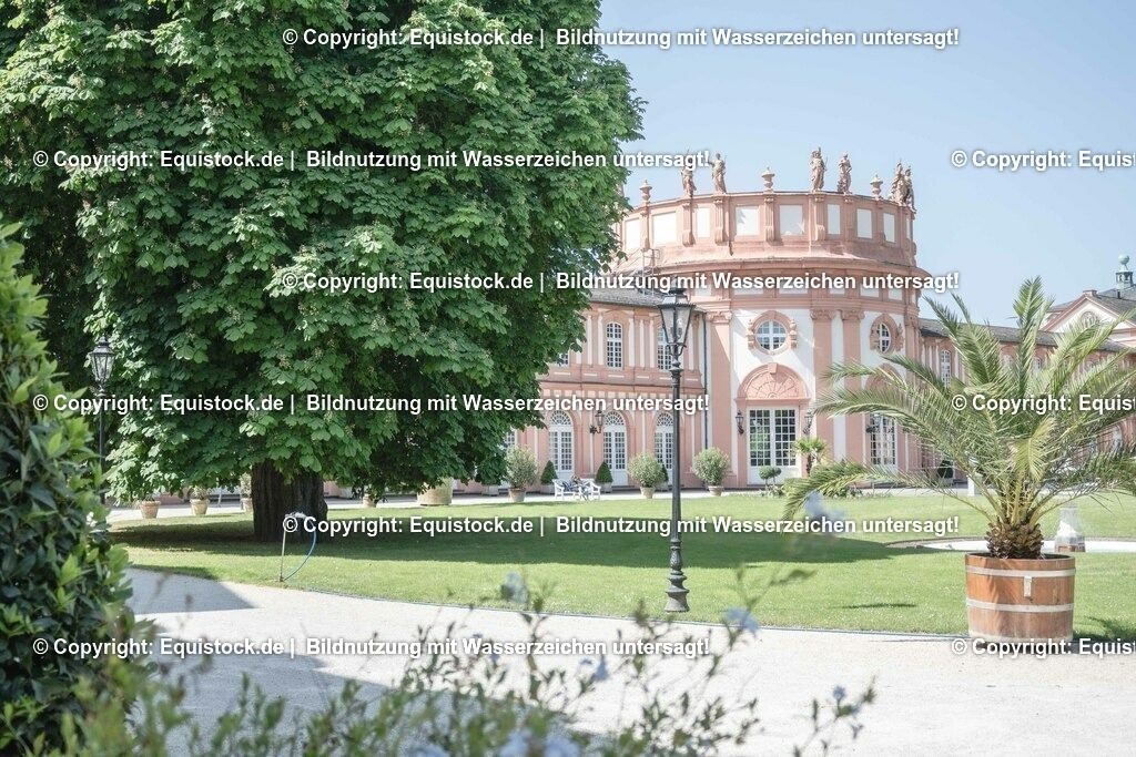 ZFC_3969 | equistock