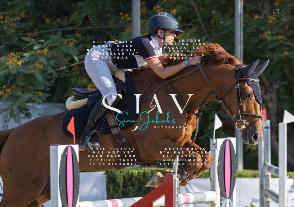 IMG_9378 | s-jay-photography - Realisiert mit Pictrs.com