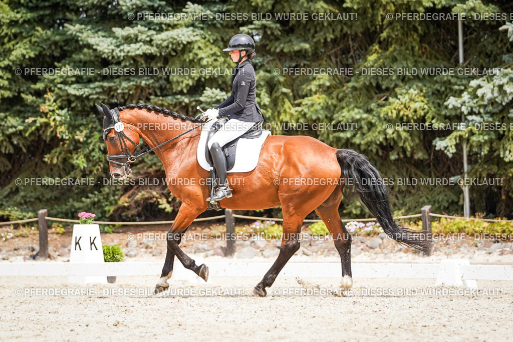 DSC03694 | Pferdegrafie