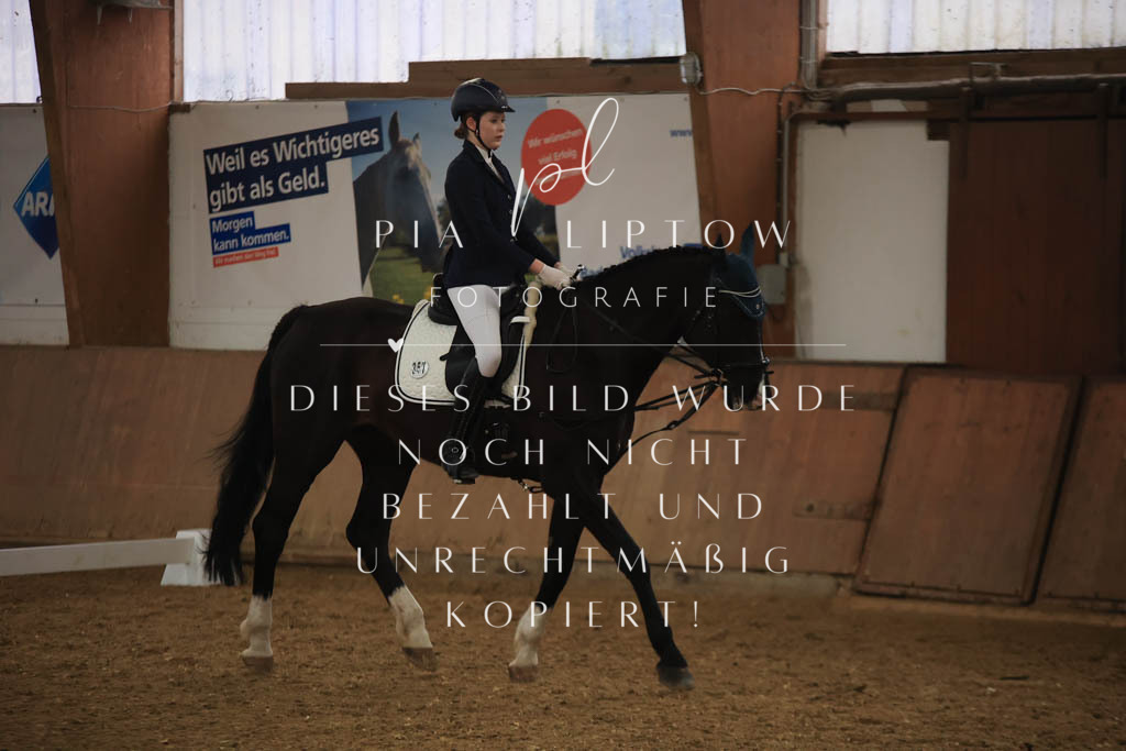 IMGT0832 | pl-fotografie