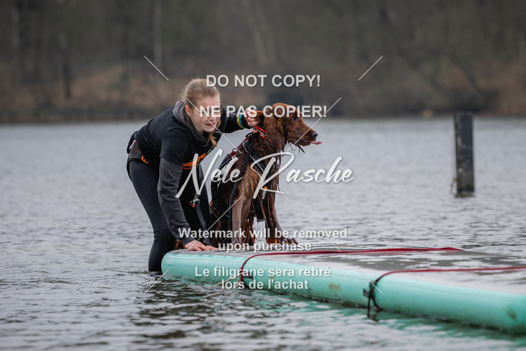 nelerasche_Hulsbeek_Sa1430-1515_509 | nelerasche