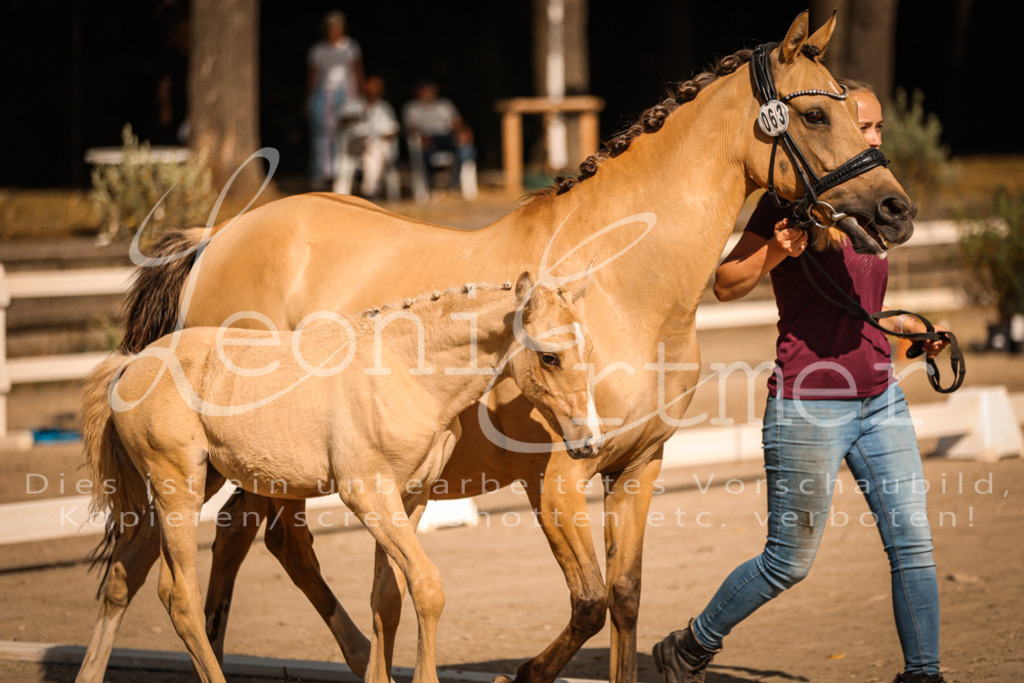 10.DoRP00181 | Leoni Ertmer Photography - Realisiert mit Pictrs.com