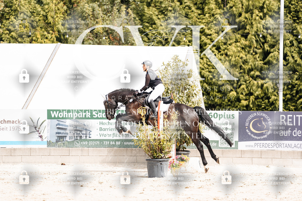 CK906658 | Turnierfotografie Pferdefotografie Trier Rheinland-Pfalz Pferdesport Reitsport Tierfotografie Sportfotografie Pferdevideo Pferdevideografie Equestrianvideography equestrianphotography  - Realisiert mit Pictrs.com