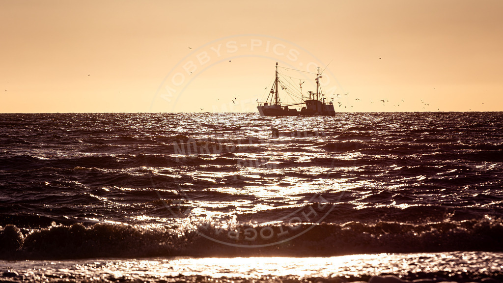 Krabbenkutter auf der Nordsee | Krabbenkutter vor St. Peter-Ording