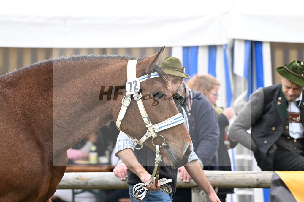 Kat-Nr. 72 Zauberlicht v. Rivero_Berchtold_41251561 | hf-fotografie - Realizzato con Pictrs.com