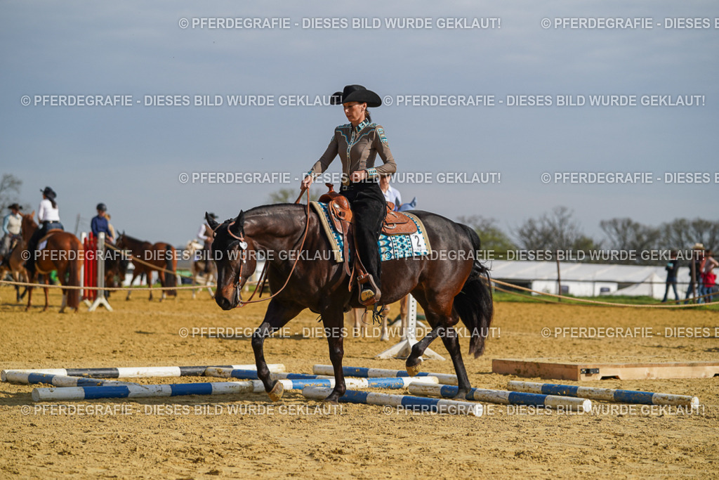 DSC01394 | Pferdegrafie