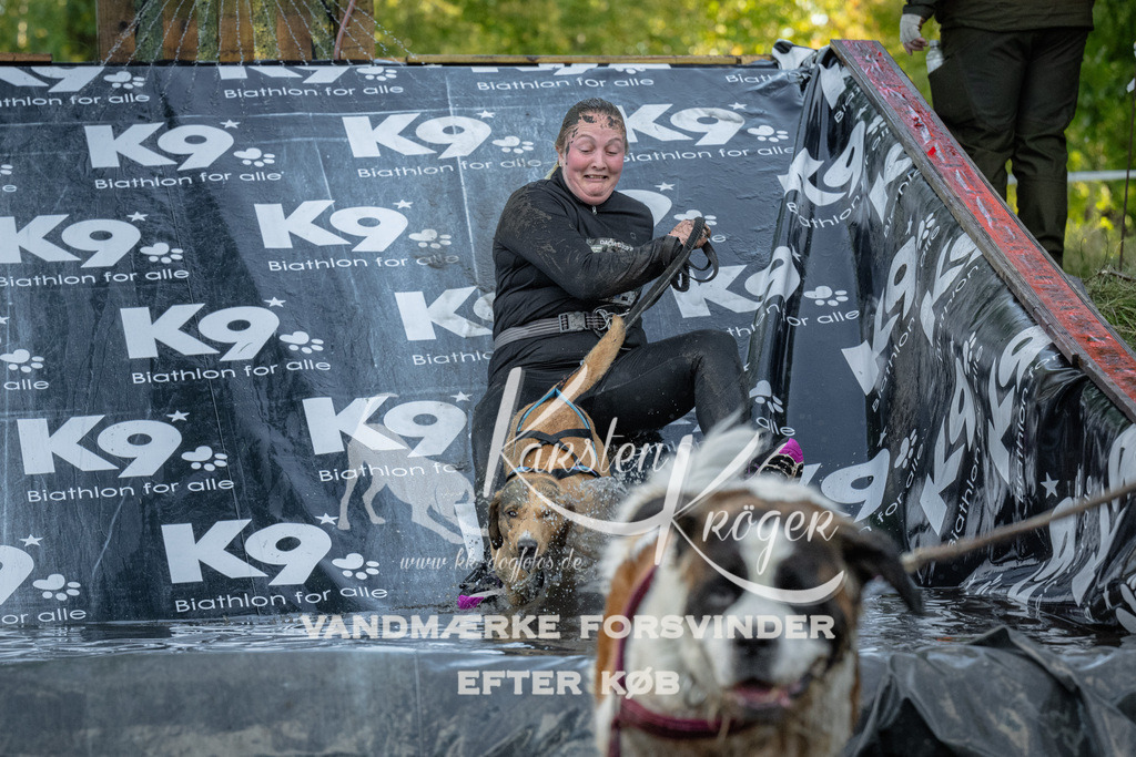 1601_ZZ91833 | kk-dogfotos