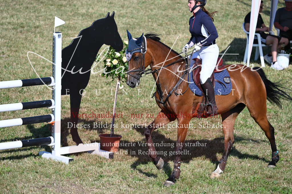 DSC_2427 | Pferde- und Turnierfotografie in Westsachsen. Pferdeportraits, Auftragszeichnungen und intuitive Kunst.