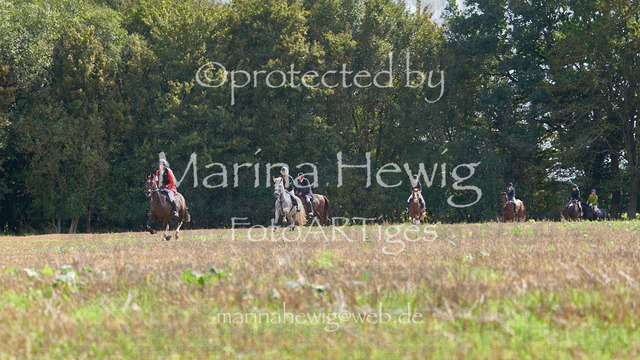 08-23 Bredeneek Jagd_MCH9053_Marina Hewig | Fotografie, FotoArt, PferdesportArt, Pferdesportfotografie, Landschaftsfotografie, Reisefotografie, Reise, Pferde - Realisiert mit Pictrs.com