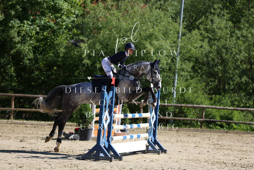 IMGS6889 | pl-fotografie