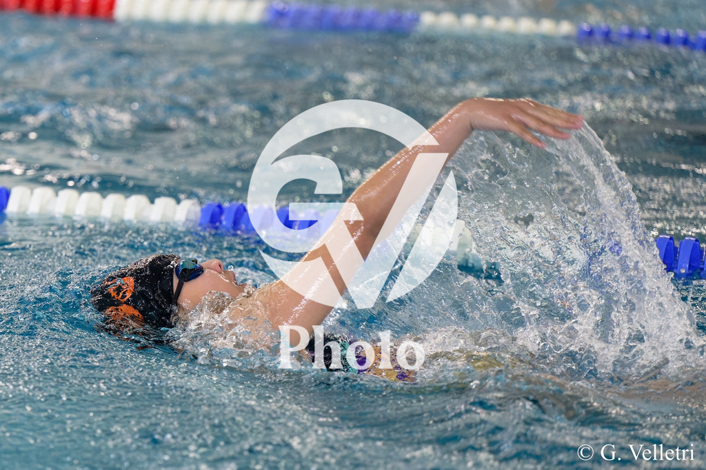 DSC_0360 | Velletri Photo