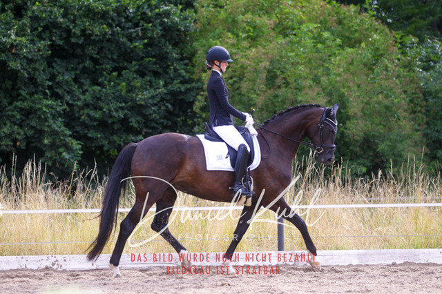 DKP45650 | Turniersportfotografie; Pferdefotografie; Dressurfotografie