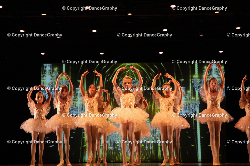 GPHY6566 | DanceGraphy - Realisiert mit Pictrs.com