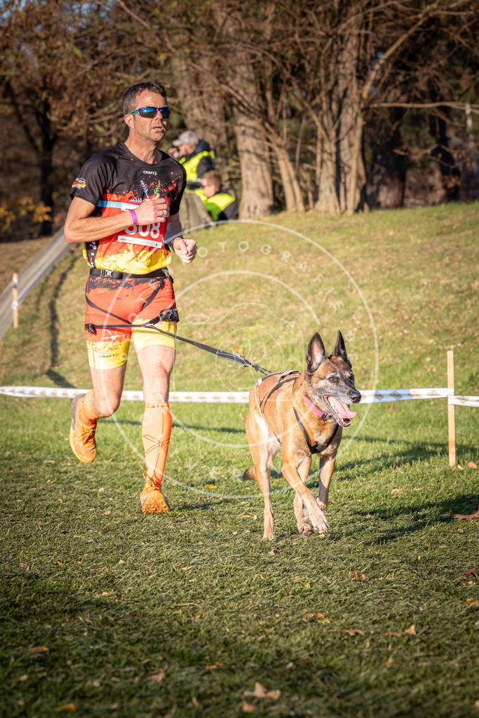 CaniXpix_0L8A0415 | Hundefotografie, Tierfotograf, Pfotenfotografie, Fotoshooting Hund, Hunde Portrait, Hundesport, Hundeportraits, Heideshooting, Hunde, Sportfotograf, Hundefotograf, Turnierhundsport, THS,  - Realisiert mit Pictrs.com