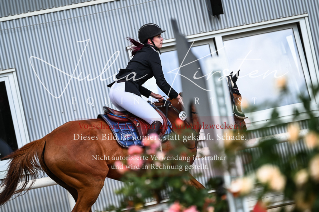 DSC_7840 | Pferde- und Turnierfotografie in Westsachsen. Pferdeportraits, Auftragszeichnungen und intuitive Kunst.