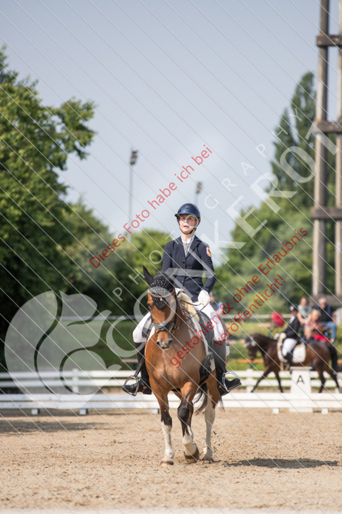 IMG_2761 | Sport-, Event- und Tierfotos in Profiqualität. Einfach auswählen, bestellen und herunterladen. Dein Moment – perfekt festgehalten.