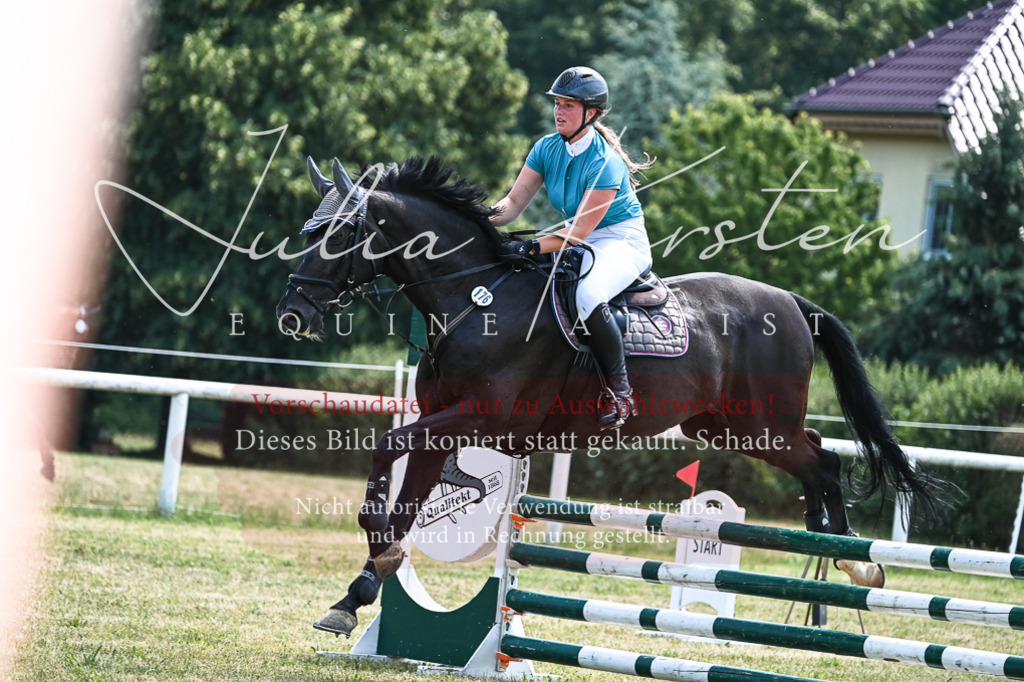 DSC_0063 | Pferde- und Turnierfotografie in Westsachsen. Pferdeportraits, Auftragszeichnungen und intuitive Kunst.