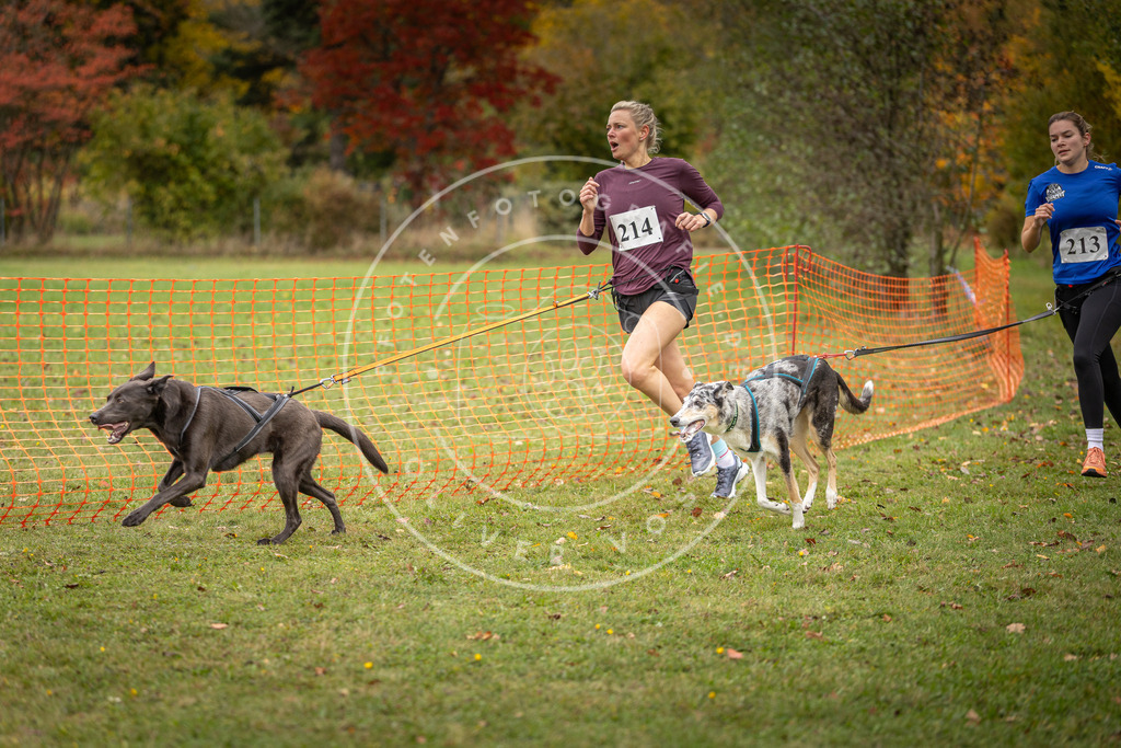 Pfotenfotografie_DV3A4761 | Hundefotografie, Tierfotograf, Pfotenfotografie, Fotoshooting Hund, Hunde Portrait, Hundesport, Hundeportraits, Heideshooting, Hunde, Sportfotograf, Hundefotograf, Turnierhundsport, THS,  - Realisiert mit Pictrs.com