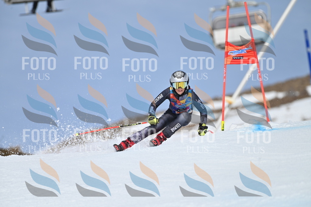 BGV_1406 | holidayphoto