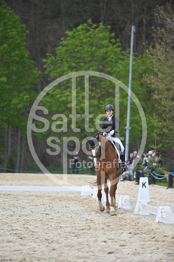 DSC_4818 | sattelsport - Realisiert mit Pictrs.com